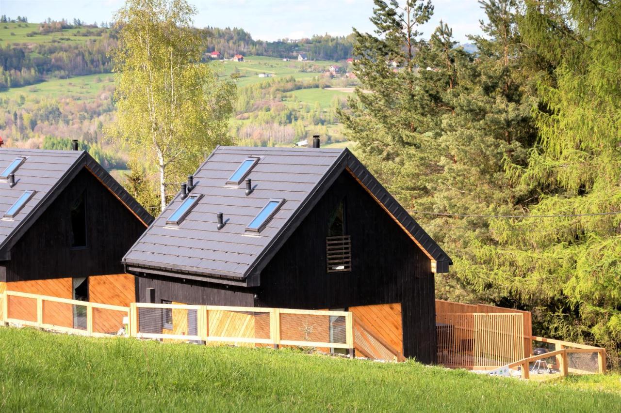 Projekt Swit - Domki Z Prywatna Jacuzzi I Sauna Zywiec Exterior photo